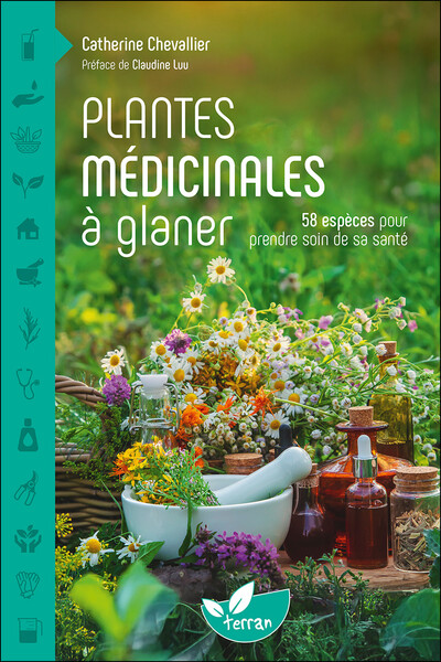 Plantes médicinales à glaner – 58 espèces pour prendre soin de sa santé
