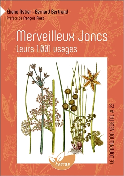 Merveilleux Joncs - Leurs 1001 usages - Vol. 22