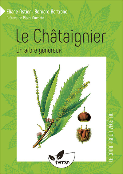 Le Châtaignier - Un arbre généreux