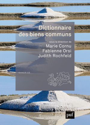 Dictionnaires Quadrige - Dictionnaire des biens communs
