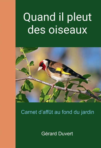 Quand il pleut des oiseaux - Carnet d'affût au fond du jardin