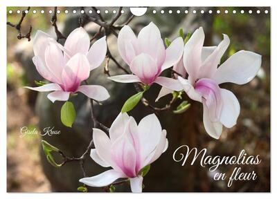 CALVENDO Nature - Magnolias en fleur (Calendrier mural 2025 DIN A4 vertical), CALVENDO calendrier mensuel - Magnifiques portraits de fleurs lumineuses