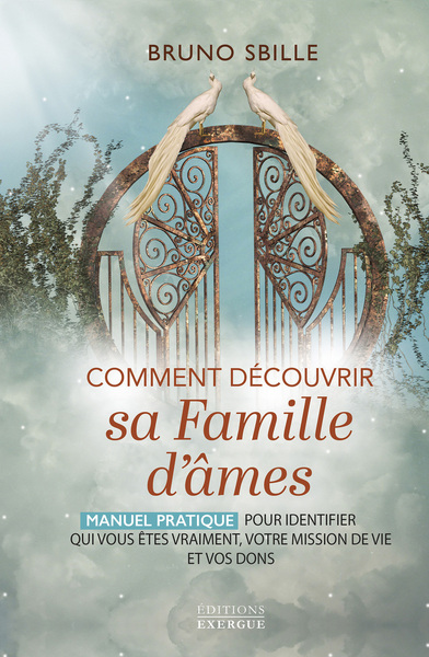 Comment découvrir sa famille d'âmes - Manuel pratique pour identifier qui vous êtes vraiment, votre mission de vie et vos dons
