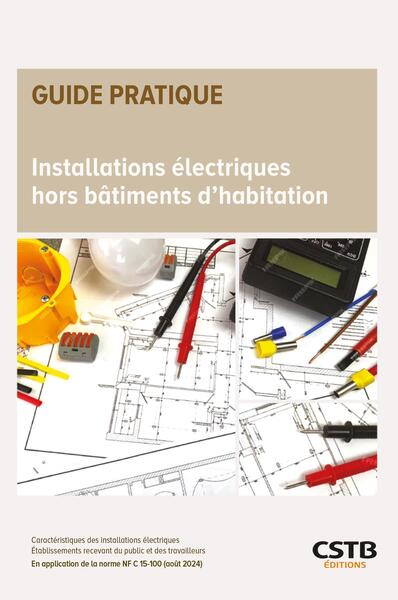 Installations électriques des bâtiments à usage professionnel et recevant du public - En application de la norme NF C15-100