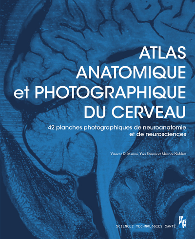Atlas anatomique et photographique du cerveau - 42 planches (dont 41 photographiques) de neuroanatomie et de neurosciences