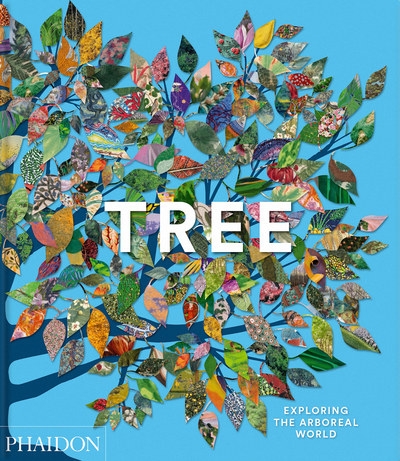Tree - Exploring the arboreal world
