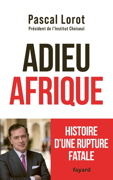 Adieu Afrique - Histoire d'une rupture fatale