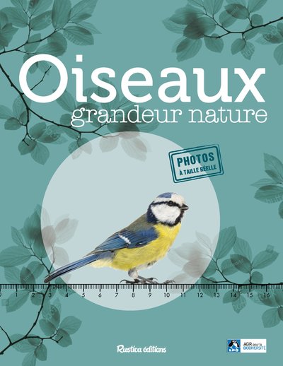 Oiseaux grandeur nature - Identifier facilement les oiseaux du jardin !