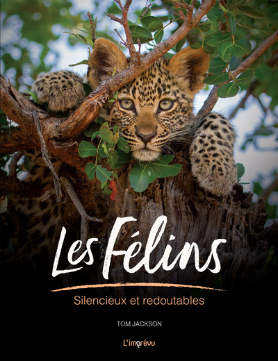 Les félins - Silencieux et redoutables