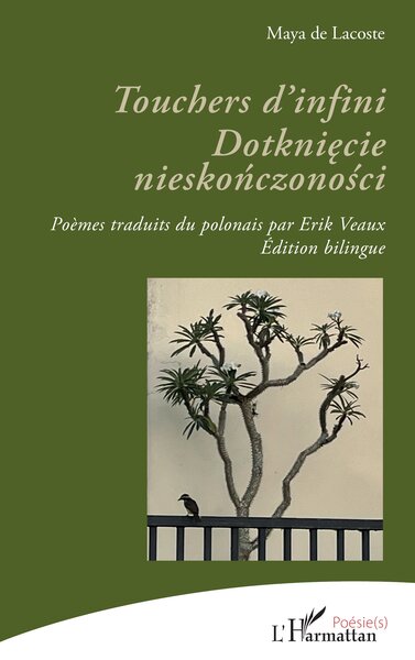 Touchers d’infini. Dotknięcie nieskończoności - Édition bilingue