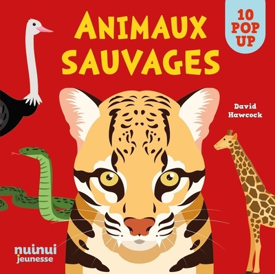 Saisissants pop-up - Animaux sauvages NE