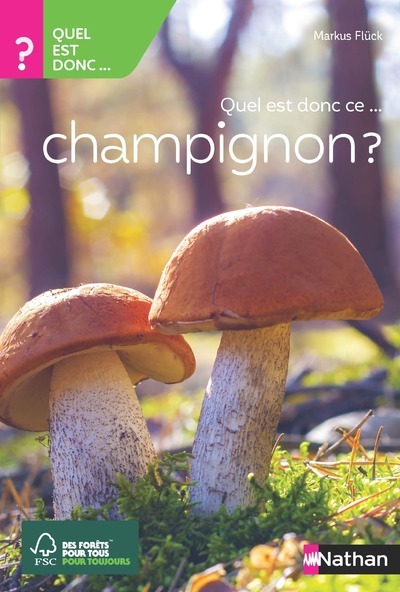 Quel est donc ce champignon ?