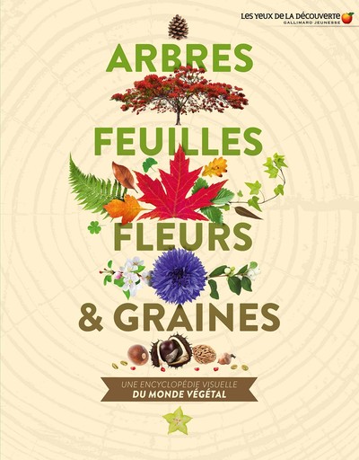 Arbres, feuilles, fleurs et graines - Une encyclopédie visuelle du monde végétal