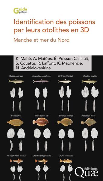 Identification des poissons par leurs otolithes en 3D - Manche et mer du Nord