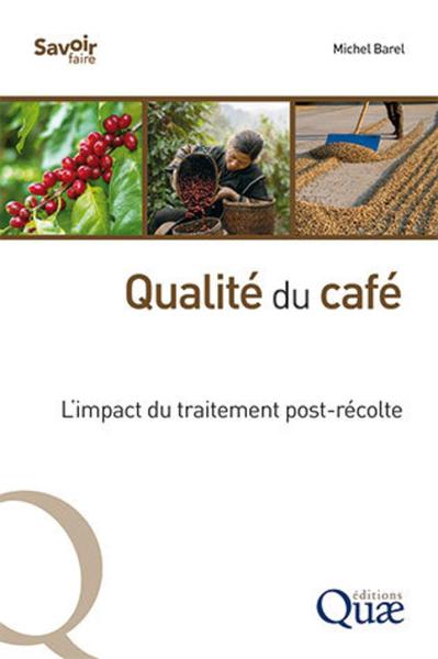 Qualité du café - L'impact du traitement post-récolte