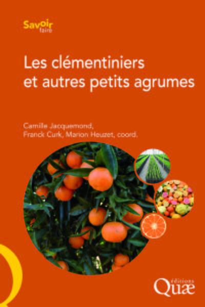 Les clémentiniers  et autres petits agrumes