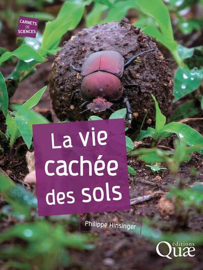 La vie cachée des sols