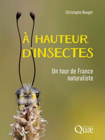 À hauteur d'insectes - Un tour de France naturaliste