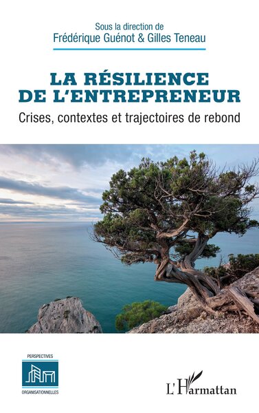 La résilience de l’entrepreneur - Crises, contextes et trajectoires de rebond