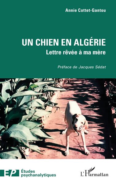 Un chien en Algérie - Lettre rêvée à ma mère
