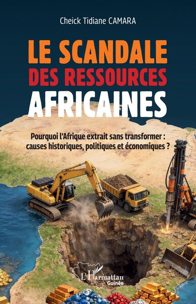 Le scandale des ressources africaines - Pourquoi l'Afrique extrait sans transformer causes historiques politiques économiques ?