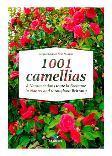 1001 Camellias À Nantes Et Dans Toute La Bretagne