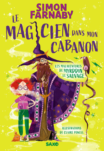 Le Magicien dans mon cabanon (broché) - Tome 01 Les malaventures de Myrddin le sauvage