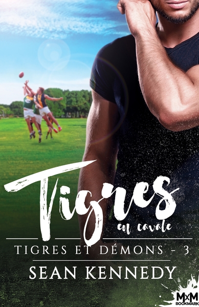 Tigres et démons - Tigres en cavale - Tigres et démons, T3