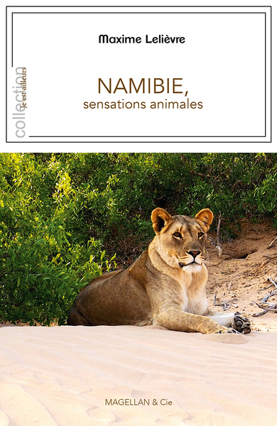 NAMIBIE, SENSATIONS ANIMALES