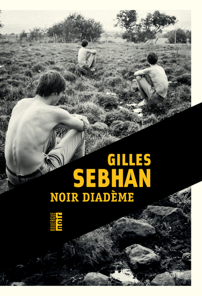 Le royaume des insensés - Noir diadème