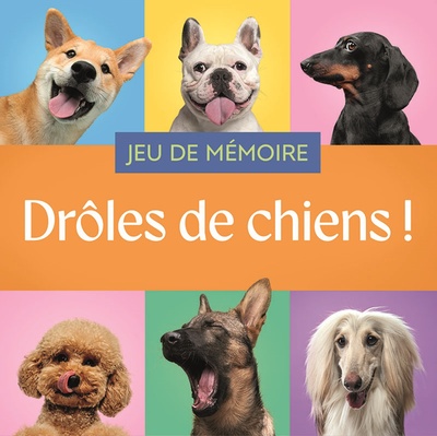 Jeu de mémoire - Drôles de chiens !