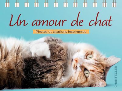 Un amour de chat - Pensées et citations inspirantes