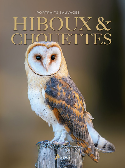 Hiboux & chouettes