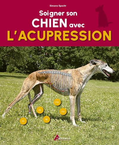 Soigner son chien avec l'acupression