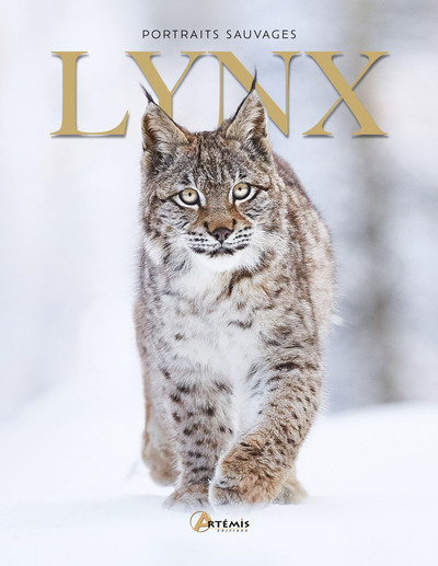 Lynx