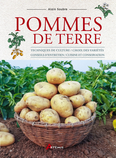 Pommes de terre - Techniques de culture / choix des variétés / conseils d'entretien / cuisine et conservation