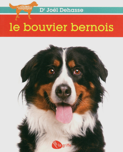 Le bouvier bernois NE