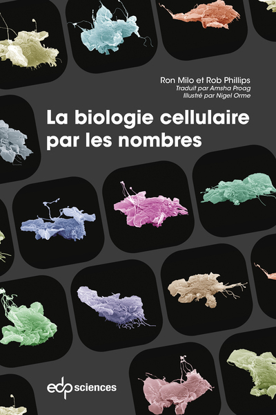 La biologie cellulaire par les nombres