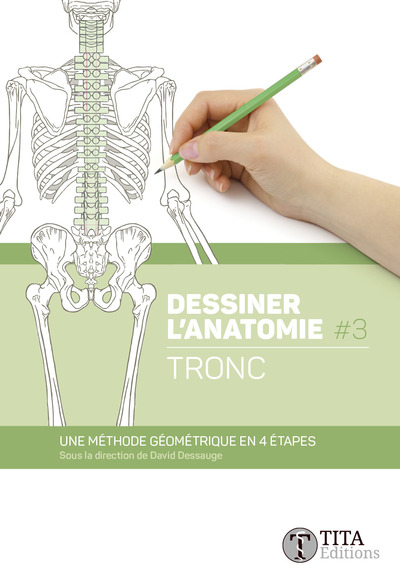 Dessiner l'anatomie #3 - Tronc - Une méthode géométrique en 4 étapes 