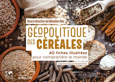 Géopolitique des céréales - 40 fiches illustrées pour comprendre le monde - Collection dirigée par Pascal Boniface