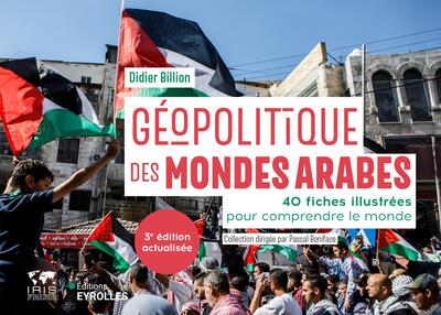 Géopolitique des mondes arabes/Nouvelle édition mise à jour - 40 fiches illustrées pour comprendre le monde