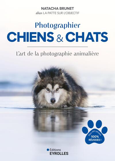Photographier chiens et chats - L'art de la photographie animalière
