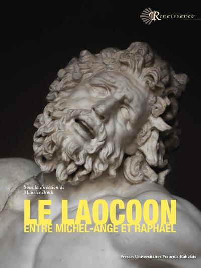 Le Laocoon entre Michel-Ange et Raphaël - un ressort de l'émulation