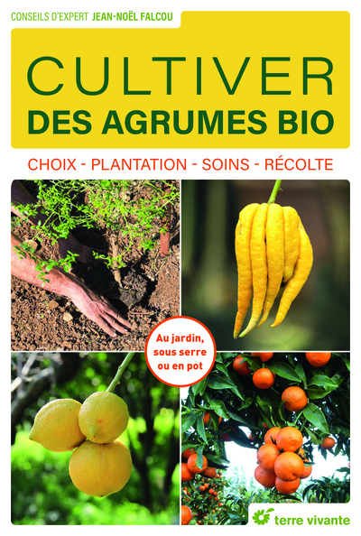 Cultiver des agrumes bio - Choix - Plantation - Soins - Récolte
