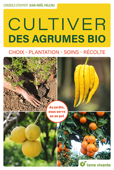 Cultiver des agrumes bio - Choix - Plantation - Soins - Récolte