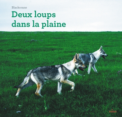 Deux loups dans la plaine