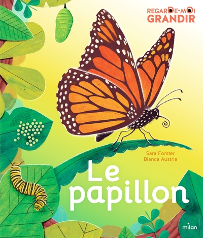 Regarde-moi grandir : le papillon