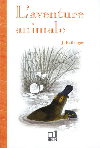 L'aventure animale - Les orientations évolutives