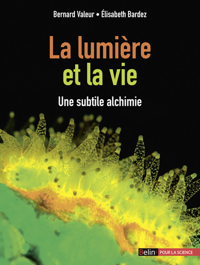 La lumière et la vie - Une subtile alchimie