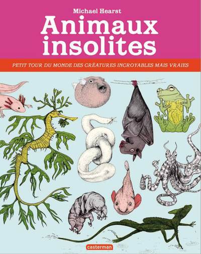 Animaux insolites - Mini livre cadeau